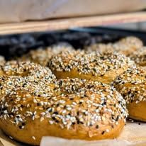 Sourdough bagels with everything seasoning on a tray