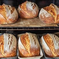 Golden sourdough loaves with scored tops on the oven racks